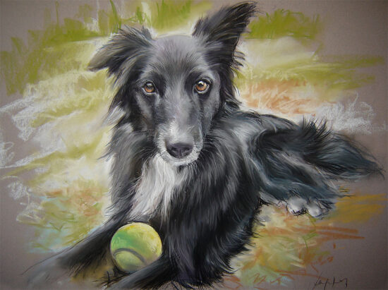 Petit chien