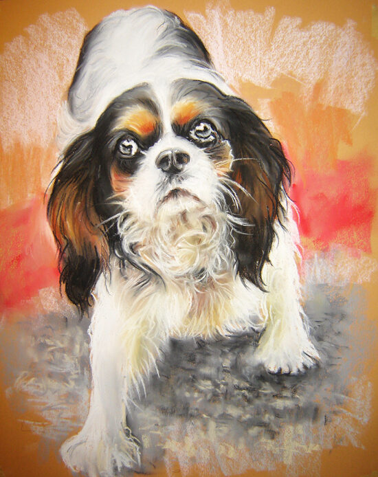 Petit chien