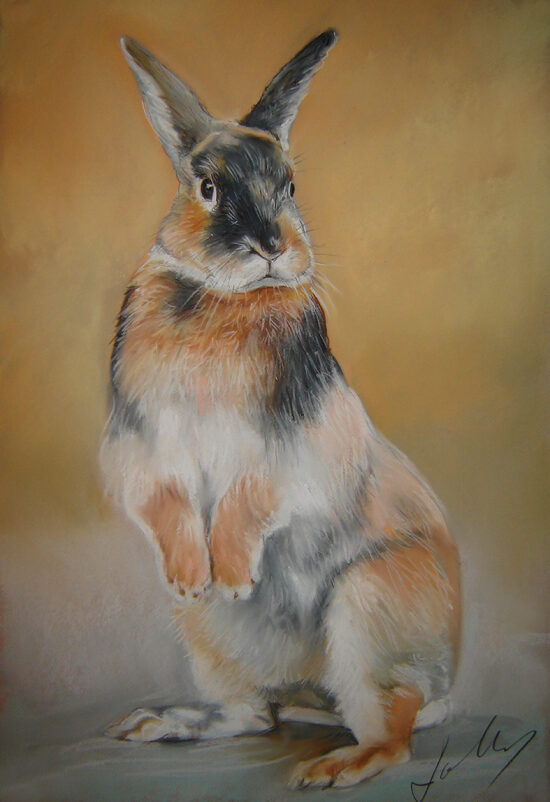 lapin